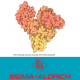 Sigma-Aldrich A2153-10G BOVINE SERUM ALBUMIN, LYOPHILIZED POWDER, ≥96% (AGAROSE GEL ELECTROPHORESIS) Sigma-Aldrich A2153-10G BOVINE SERUM ALBUMIN, LYOPHILIZED POWDER, ≥96% (AGAROSE GEL ELECTROPHORESIS)